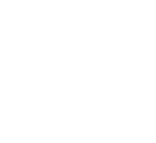 stoke city fc